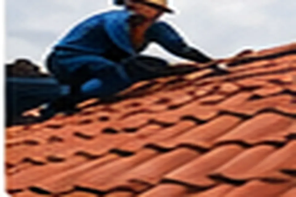 Maison avec toiture rénovée